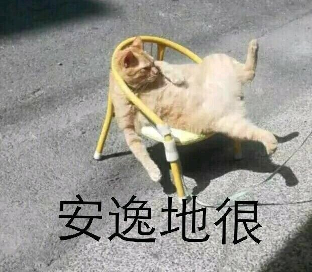网络表情