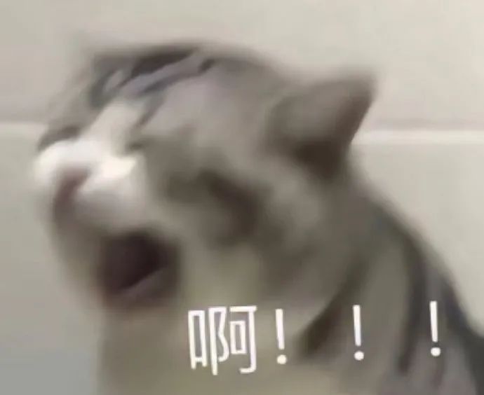 网络表情