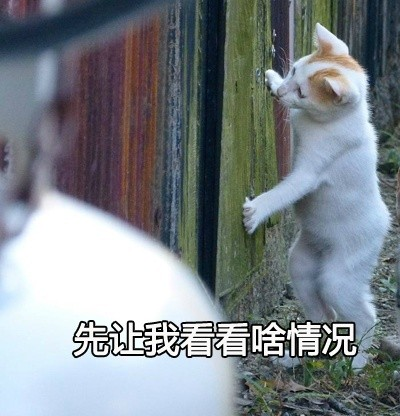 网络表情
